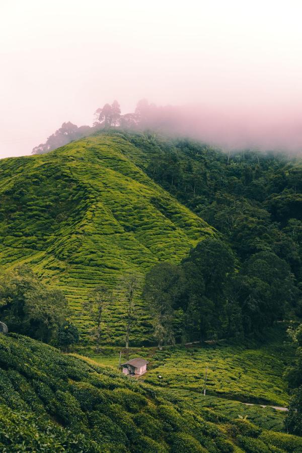 Heritage Hotel Cameron Highlands Extérieur photo